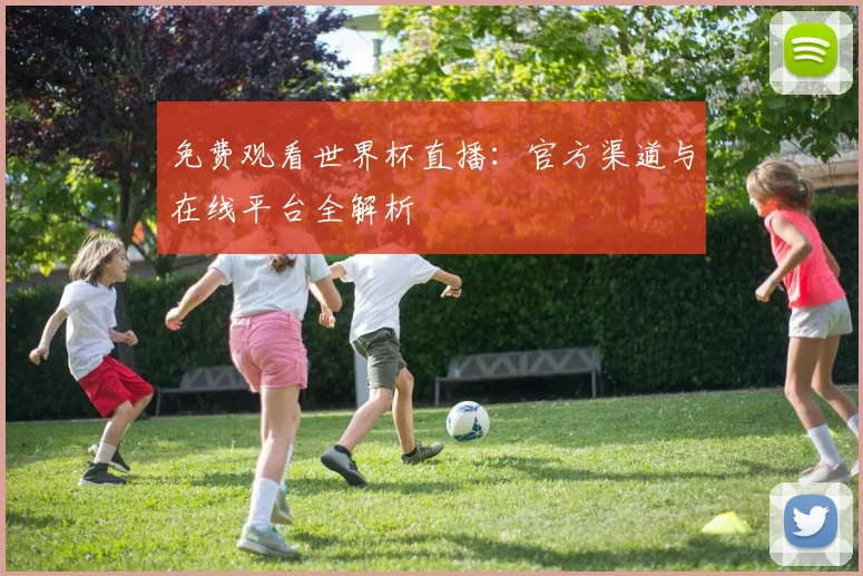 免费观看世界杯直播:官方渠道与在线平台全解析