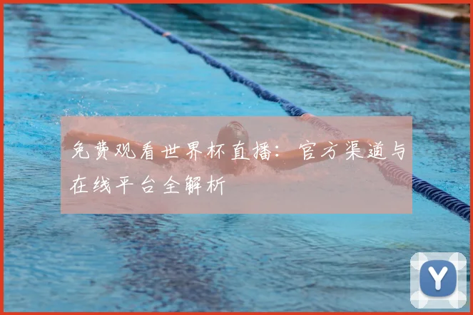 免费观看世界杯直播：官方渠道与在线平台全解析