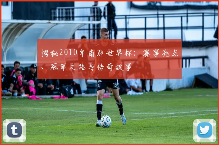 揭秘2010年南非世界杯：赛事亮点、冠军之路与传奇故事